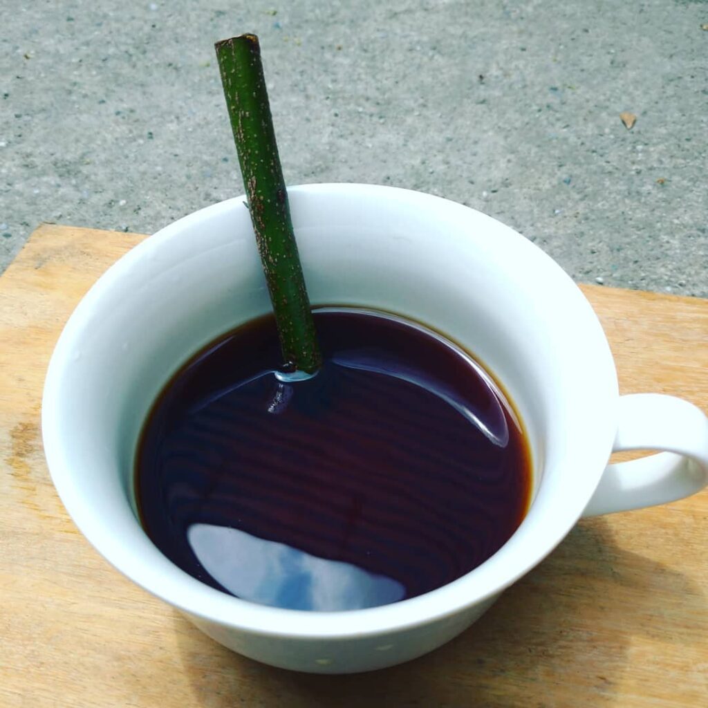 horizontal cinnamon coffee stick