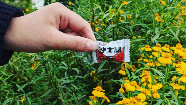 墨西哥龍艾 墨西哥龍艾