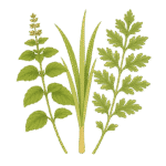 香草茶包 18 草本馬薩拉茶