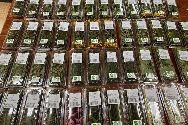 產品系列 9 全聯販售的新鮮有機香草