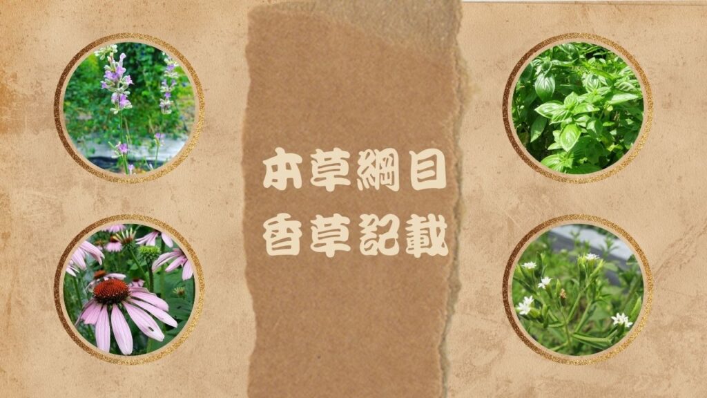 herbal uses bencao gangmu