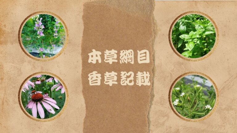 herbal-uses-bencao-gangmu