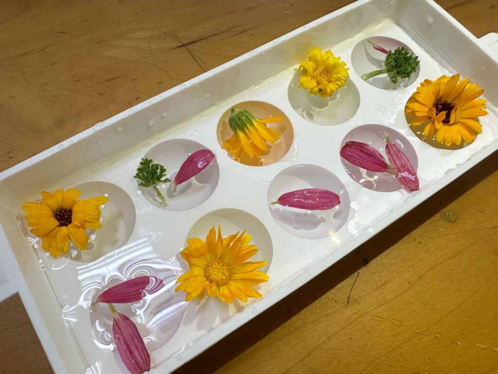 herbal ice cubes 1