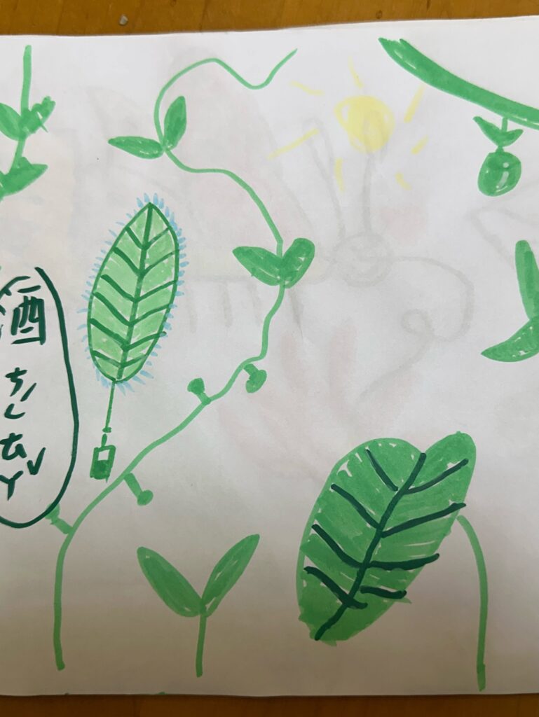 香草植物氣味聯想課|讓孩子探索五感世界 2 香草植物氣味聯想課學員以綠色植物與藤蔓表現聞香後的想像