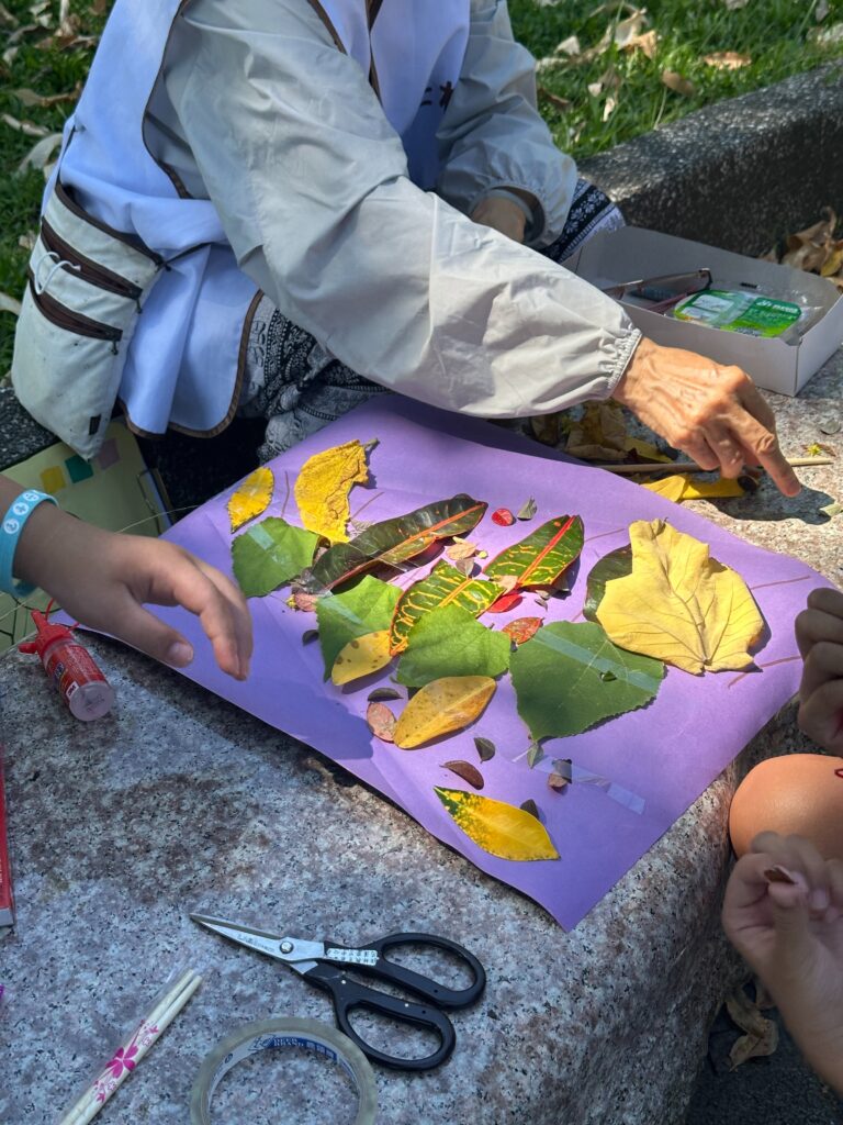 自然探索五感體驗|孩子食農教育從大自然開始 3 觀察不同葉片的形狀顏色與葉脈進行自然探索